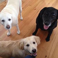 Debbie Nellis Photo 5
