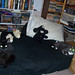 Robin Burroughs Photo 25