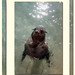 Sarah Seal Photo 32