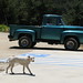 Rocky Robles Photo 25