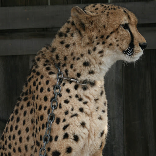 Don Barker Photo 3
