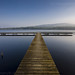 John Graney Photo 17