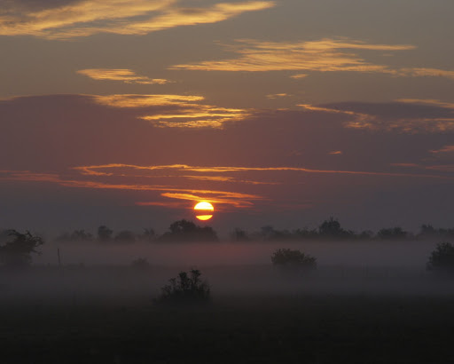 Thomas Alston Photo 24