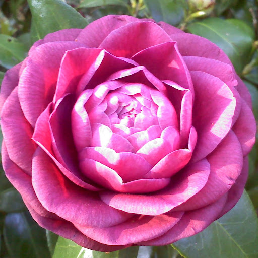 Jennie Jones Photo 24