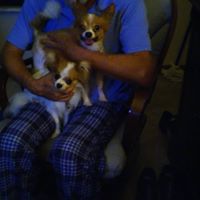 Mark Robic Photo 9