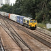 Fred Power Photo 12