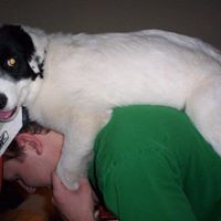 Scott Dotson Photo 31