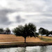 Dallas Majors Photo 4
