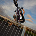 Paul Jeffries Photo 12