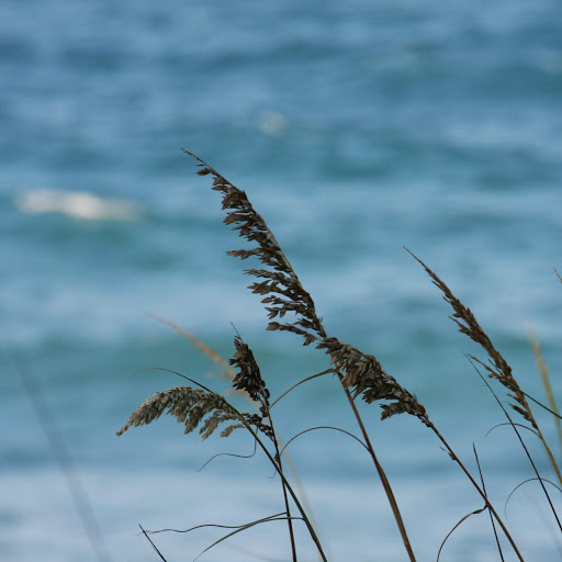 Sherrie Brown Photo 7