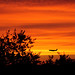 Ruben Barajas Photo 29