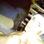Anand Patel Photo 29