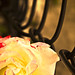 Rose May Photo 10