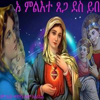 Elsa Tekeste Photo 3