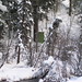 Jeffrey Greer Photo 14