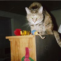 Gayle Robbins Photo 22