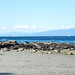 Joyce Lockwood Photo 6