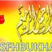 Syed Hussain Photo 48