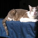 Frances Green Photo 38