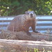 Colleen Fischer Photo 20