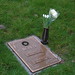 Larry Graves Photo 19