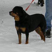 Barbara Bice Photo 17