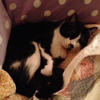 Susan Lytle Photo 21