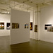 Cynthia Simon Photo 41