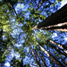 Jannie Wood Photo 6