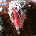 Taylor Combs Photo 24