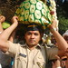 Mary Shah Photo 25