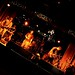 Stephen Depaola Photo 4