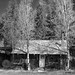 Steven Homestead Photo 4