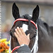 Stephen Mullins Photo 46