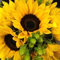 Brenda Kipp Photo 7