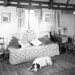 Helen Young Photo 34