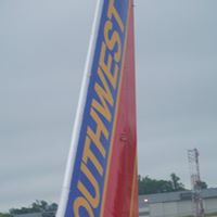 Phillip Downing Photo 17