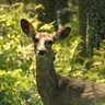 Michael Stotts Photo 34