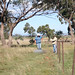 Forrest Melton Photo 8
