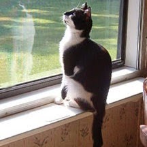 Cathy Welch Photo 44
