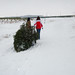 Robert Sickels Photo 13