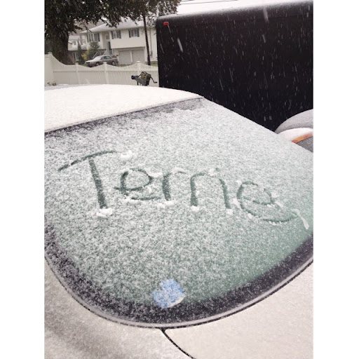 Terrie Davis Photo 16