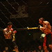 Wayne Phillips Photo 28
