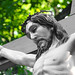 Anne Cross Photo 40