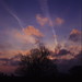 Dawn Heath Photo 20