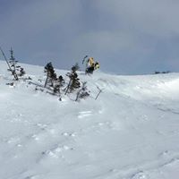 Brian Pope Photo 49