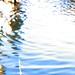 Larry Todd Photo 24
