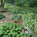 Nancy Stearns Photo 17