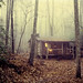 Misty Henderson Photo 30