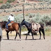 Kelly Hansen Photo 25